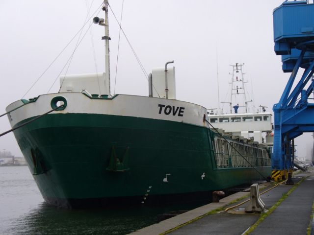 Tove - Penhoet - 02 mars 2008.JPG